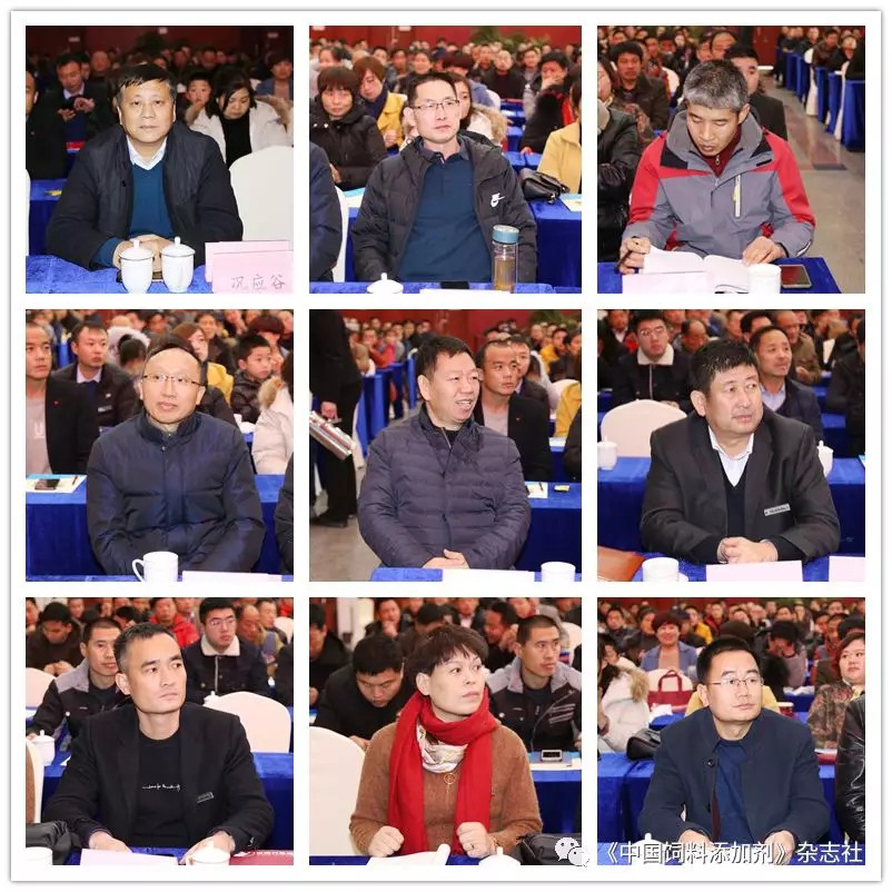  济南兴基饲料有限公司