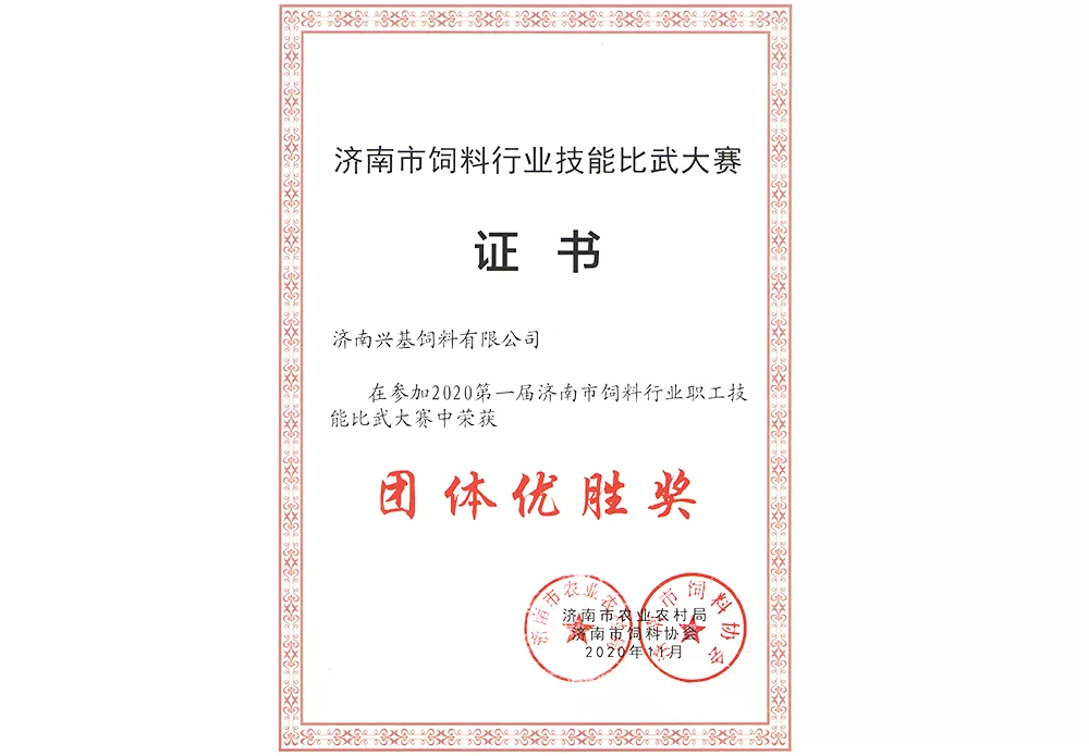 团队优胜奖