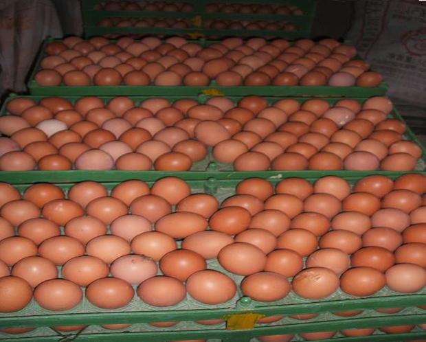  济南兴基饲料有限公司