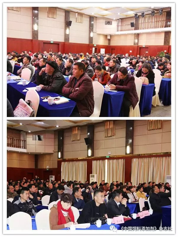  济南兴基饲料有限公司